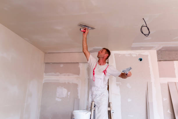 Best Custom Drywall Designs  in The Plains, OH